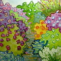 Janet Murphy s Garden