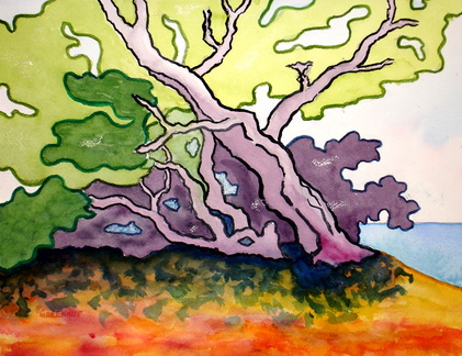 WINDSWEPT TREES