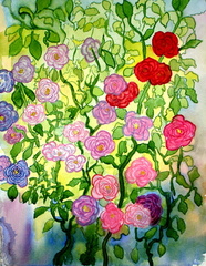 FILOLI ROSES