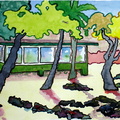 Beach Cottage