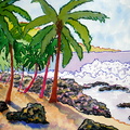 Beach at Honaunau 001