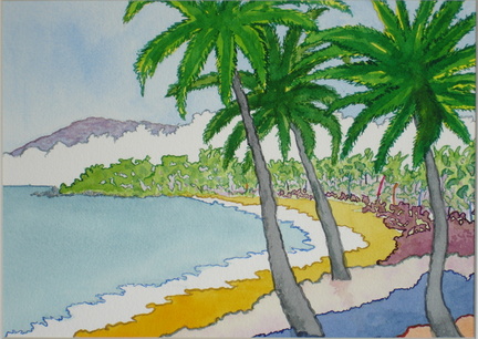 Kohala Coast Beach