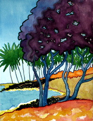 Kukio Beach 2