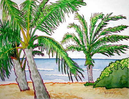 Pawai Bay Beach Hawaii