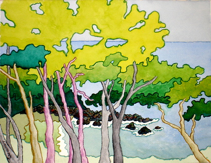Cove