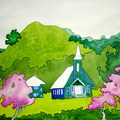 Cherry Trees in Waimea