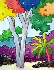 Primary Colors