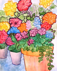 POTS
