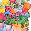 POTS