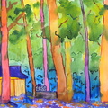 REDWOOD FOREST