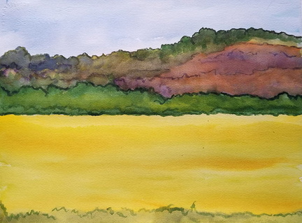 Yellow Field