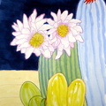 CACTUS FLOWERS