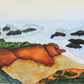 COVE AT PESCADERO BEACH