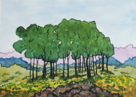 DUNES BEACH GROVE