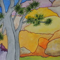 JOSHUA TREE