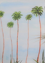 THE PALMS
