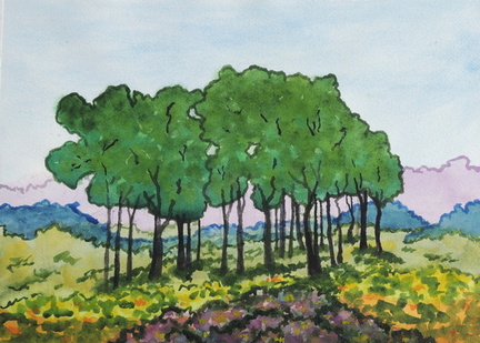 DUNES BEACH GROVE