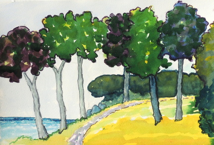 Coyote Point Park