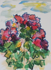 DSCN0491