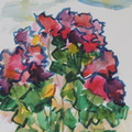 DSCN0491