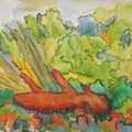 DSCN0577