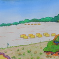 DSCN4518