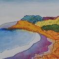 DSCN4579
